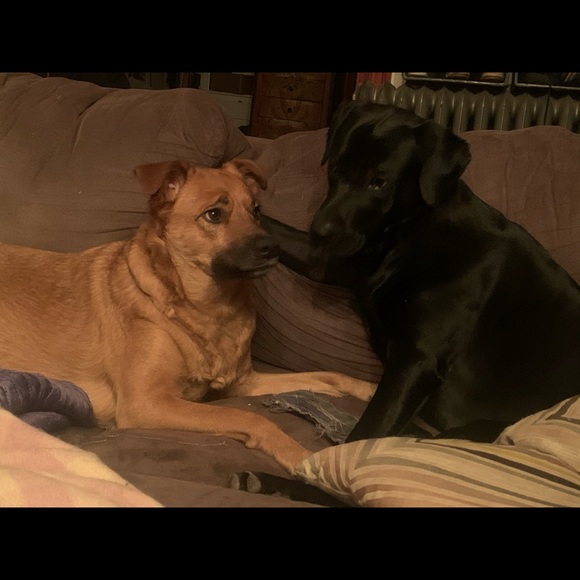 🤸‍♀️📬📮SHIP NEXT BUSINESS DAY!📮📬🤸‍♀️ - Picture 3 of 10